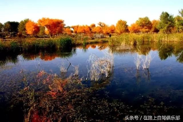 静静的叶尔羌河_静静的叶尔羌河小说_静静的叶尔羌河插曲
