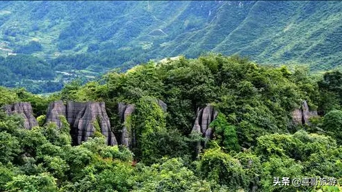 重庆梁平邮编_重庆梁平属于哪个区_重庆梁平