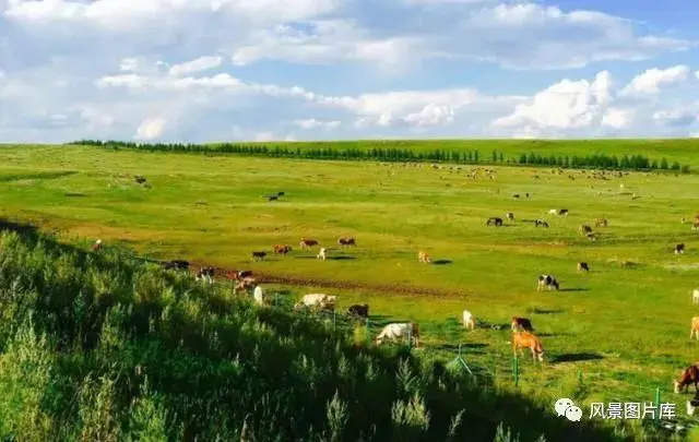 夏天哪个城市凉快适合旅游_夏天哪些旅游城市凉快_夏天凉快的旅游地