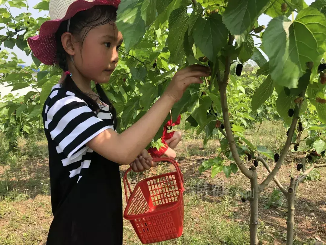 五一成都周边_成都周边旅游景点大全1曰游_五一成都周边游