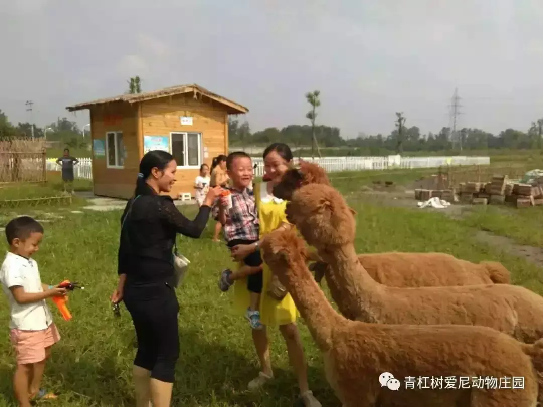 五一成都周边游_五一成都周边_成都周边旅游景点大全1曰游