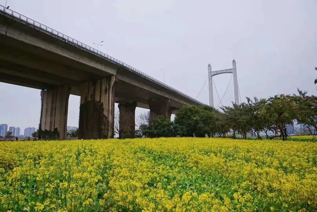 福州五饼二鱼餐厅地址_福州有没有炉鱼餐厅_福州五饼二鱼餐厅