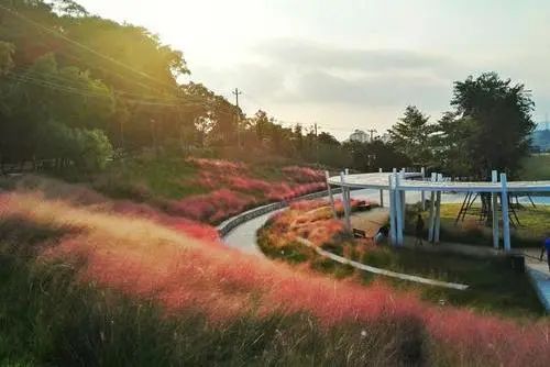 福州五饼二鱼餐厅地址_福州有没有炉鱼餐厅_福州五饼二鱼餐厅