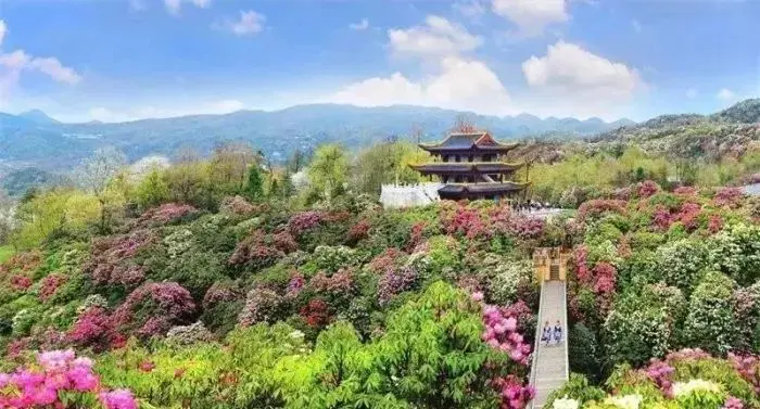 成都到阿尔山旅游攻略_阿尔山旅游攻略必玩的景点_阿尔山旅游攻略