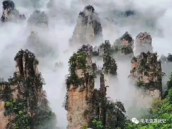 古城凤凰门票优惠政策_凤凰古城门票_古城凤凰在哪里