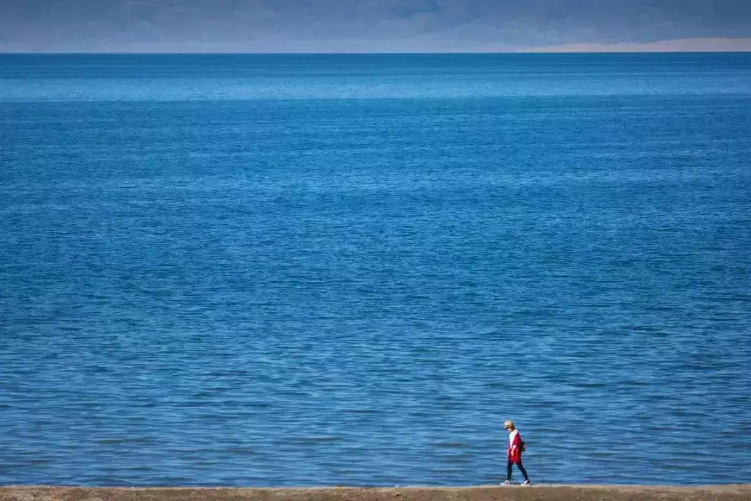 青海湖湟鱼价格_青海湟鱼做法_分析青海湟鱼生长缓慢的原因