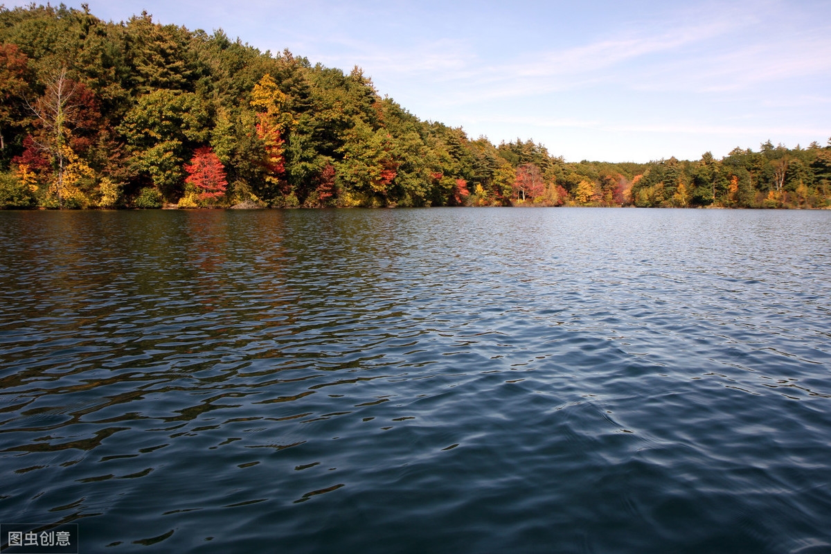 青海湖湟鱼价格_青海湖湟鱼洄游观赏地_青海湖价格湟鱼多少一斤