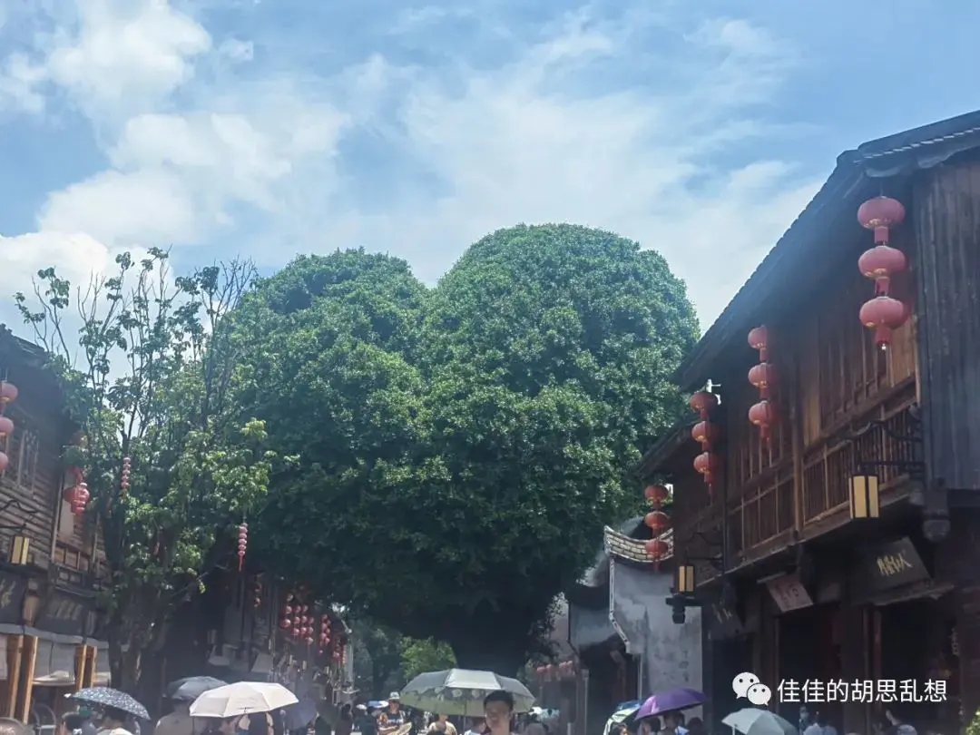 福州平潭东甲岛住宿_福州平潭旅游地图_福州平潭岛自由行旅游攻略