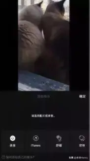 抖音视频在线看_抖音怎么找看过的视频_抖音国际爱露露视频在线