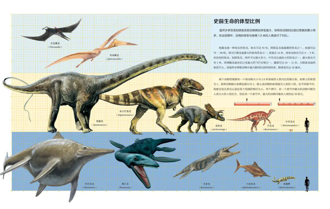 恐龙大全名字图片高清_恐龙图片大全和名字_恐龙大全名字和图片资料