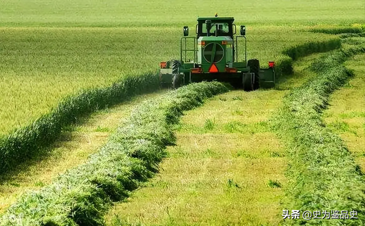 小麦青储什么时候收割_小麦青储收购商_青储小麦收割事件