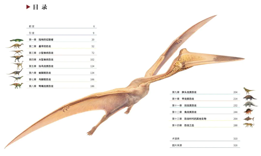 恐龙大全名字图片高清_恐龙大全名字和图片资料_恐龙图片大全和名字