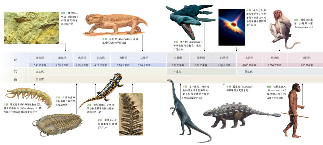 恐龙大全名字图片高清_恐龙大全名字和图片资料_恐龙图片大全和名字