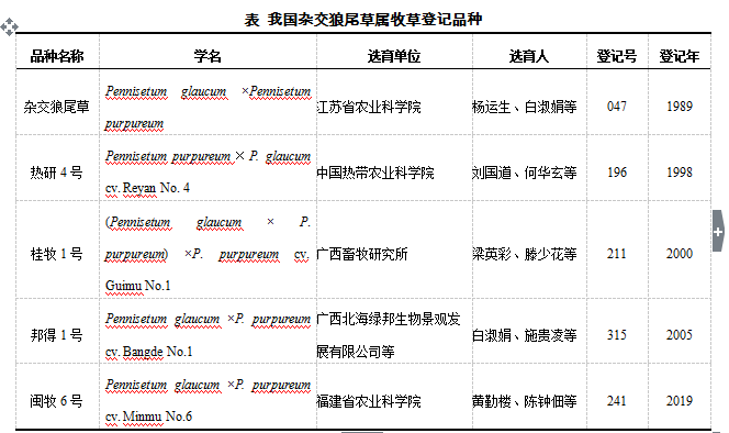 杂交狼尾草_杂交狼尾草亩产量_杂交狼尾草的优缺点