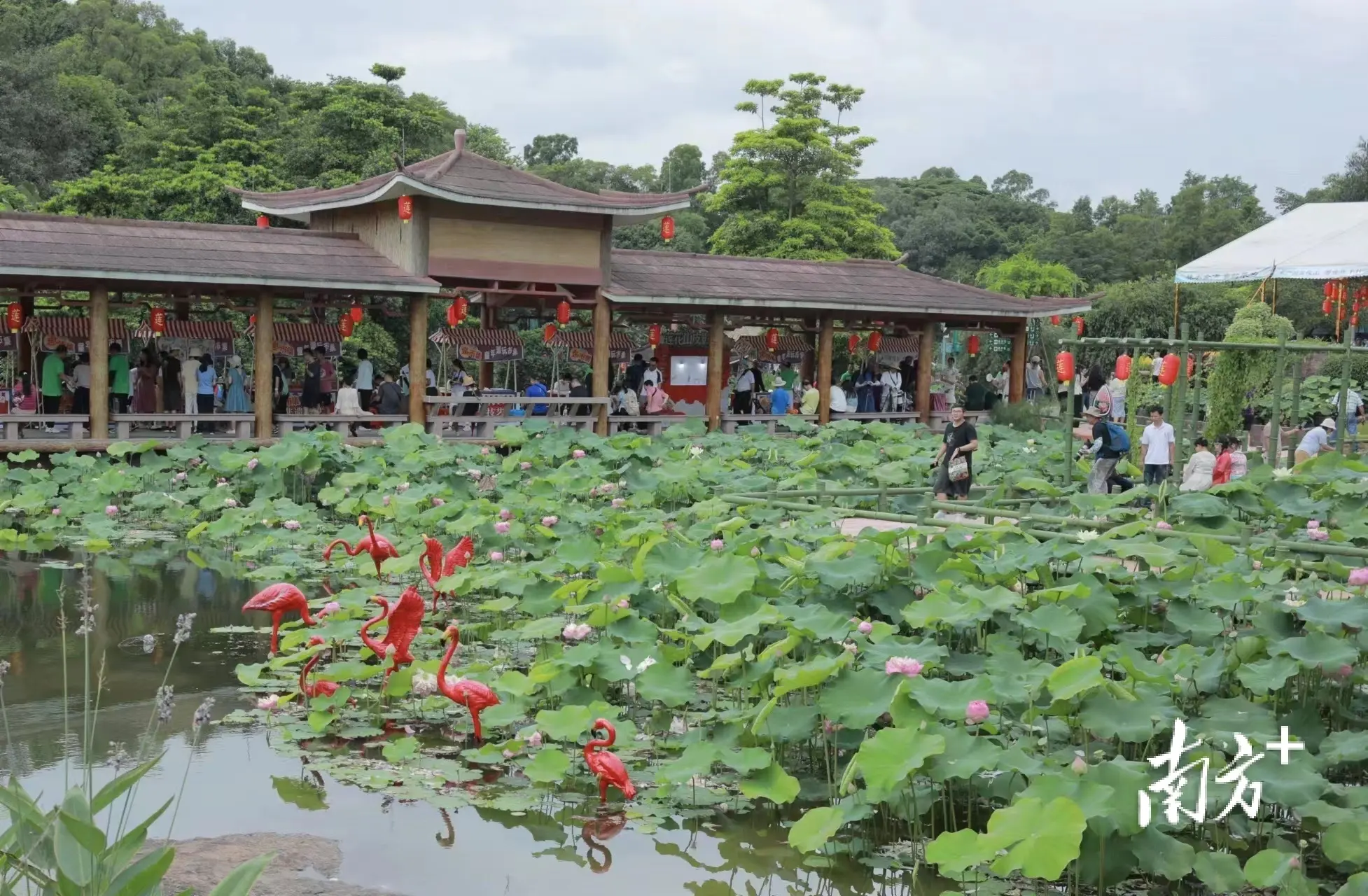 莲花山番禺图片_莲花山番禺区_番禺莲花山