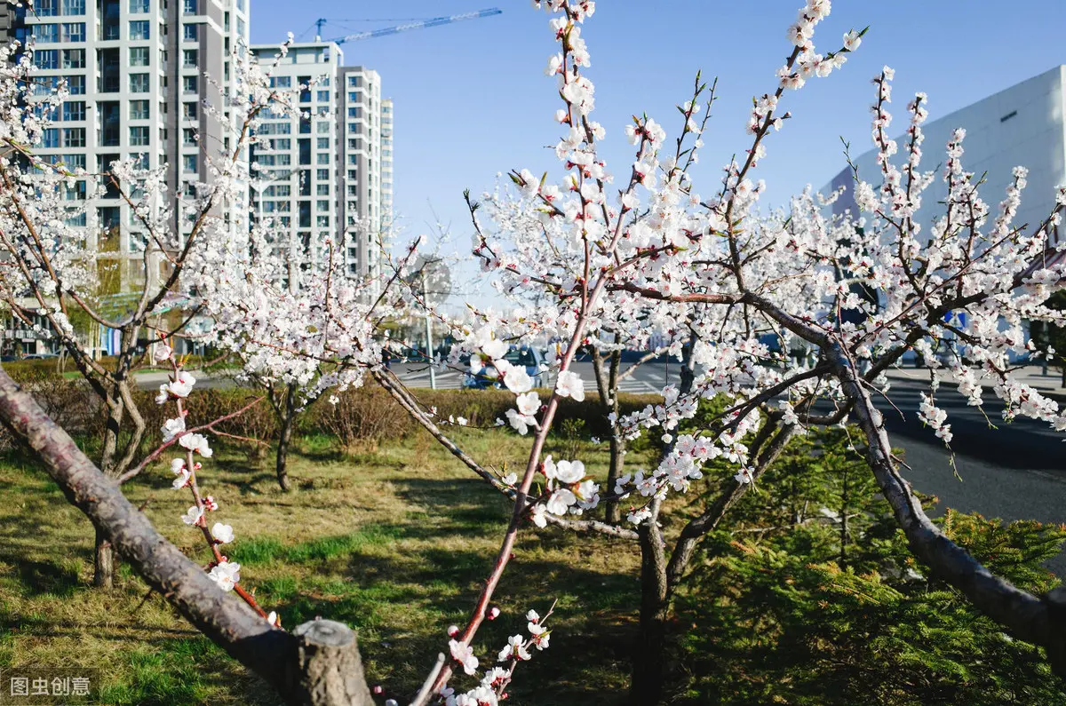 尚志归哪个市管_尚志市属于县级市吗_尚志市属于哪个市