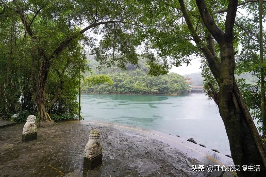 鼎湖山景区门票电话_鼎湖山景区简介_鼎湖山景区旅游攻略