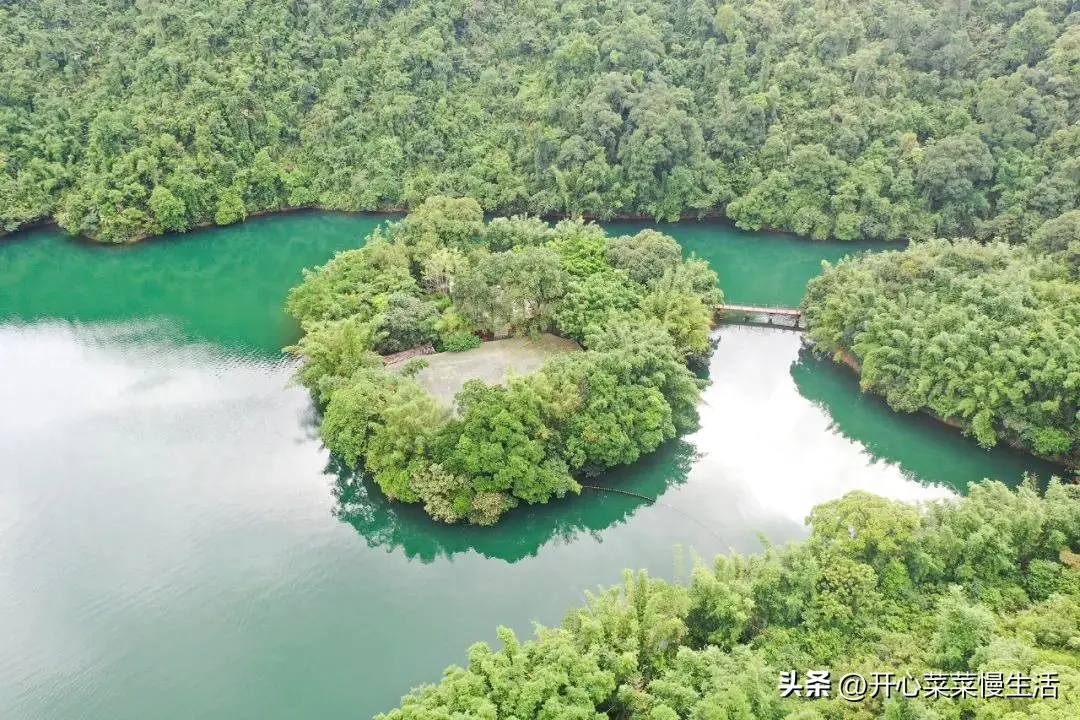 鼎湖山景区门票电话_鼎湖山景区简介_鼎湖山景区旅游攻略