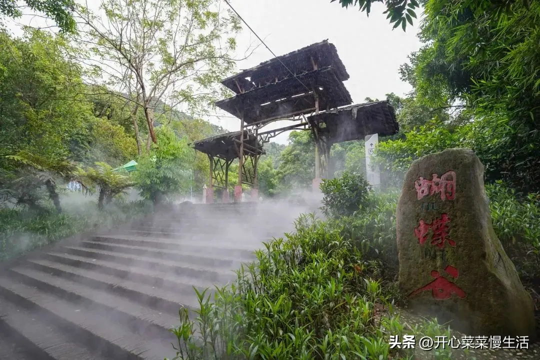 鼎湖山景区简介_鼎湖山景区门票电话_鼎湖山景区旅游攻略