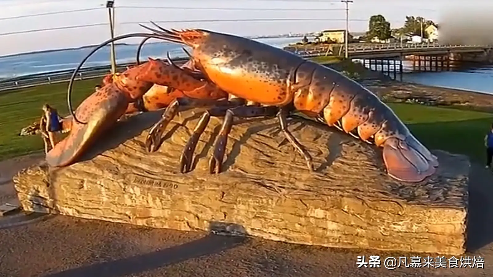 龙虾吃小鱼吗_龙虾吃小鱼苗吗_小龙虾吃什么