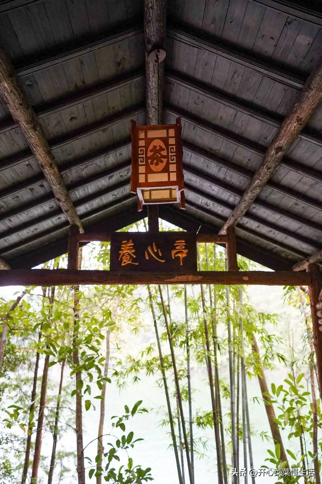 鼎湖山景区简介_鼎湖山景区旅游攻略_鼎湖山景区门票电话