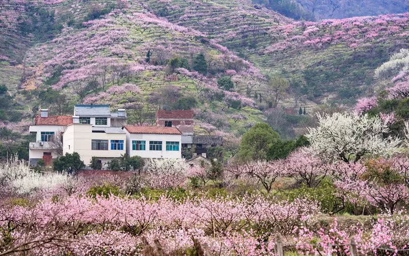 九华山风景一日游最佳攻略_九华山旅游攻略二日_九华山旅游攻略一日游最佳线路