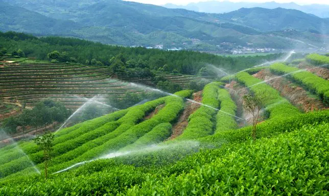 九华山风景一日游最佳攻略_九华山旅游攻略一日游最佳线路_九华山旅游攻略二日