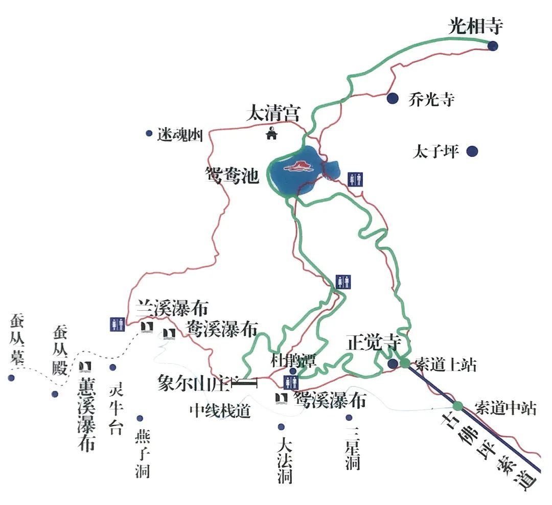 锦鸡叫声音免费_锦鸡叫声_锦鸡的叫声在线试听