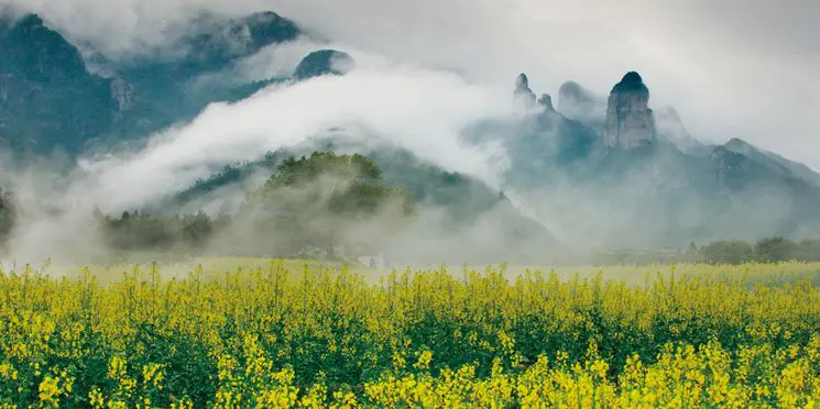 九华山旅游攻略一日游最佳线路_九华山风景一日游最佳攻略_九华山旅游攻略二日