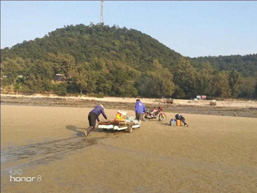 飞沙滩_飞沙滩怎么去_飞沙滩附近