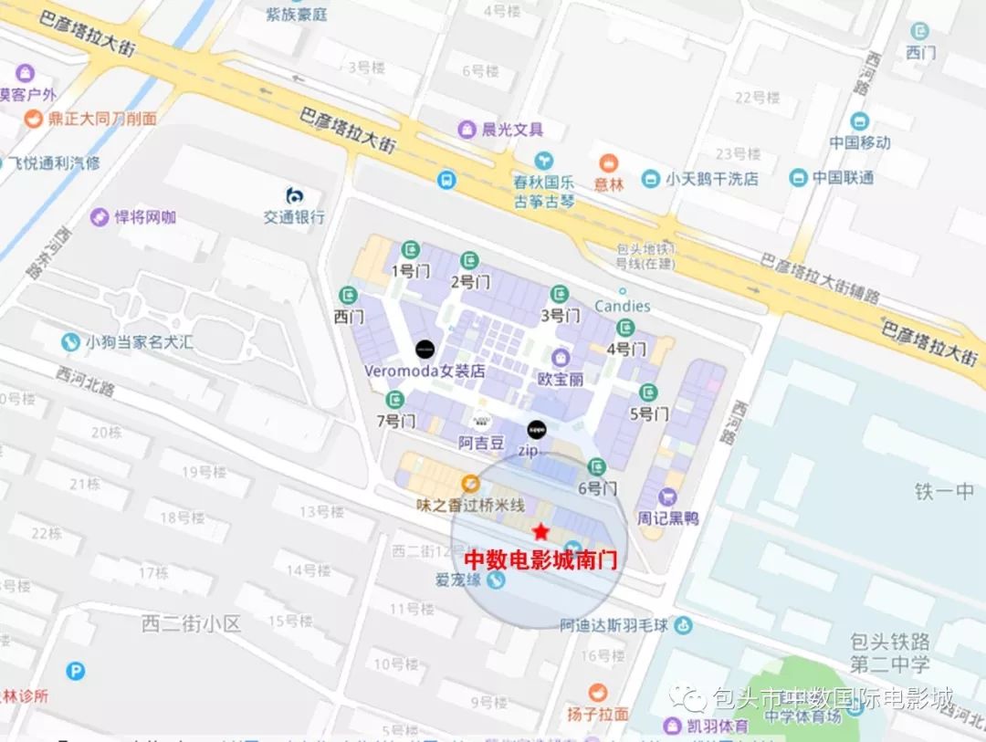 学爸主演_电影学爸主演_学爸电影怎么