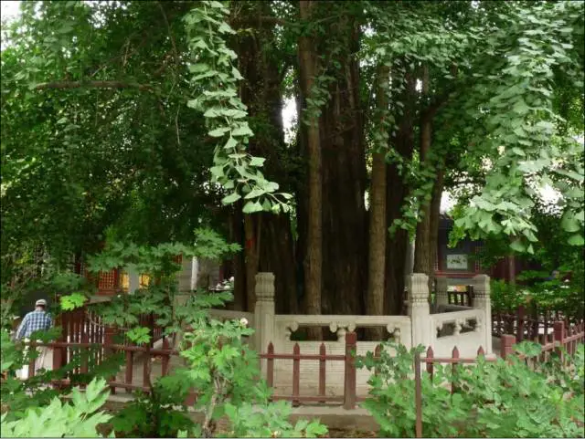 红螺寺求什么最灵验_红螺寺求子灵验吗_红螺寺求平安灵验吗