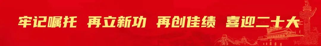 码头任务触发不了怎么办_码头任务怎么做_任务码头