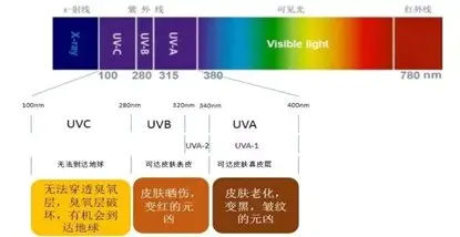 防晒英文_防晒英文怎么说_防晒霜英文