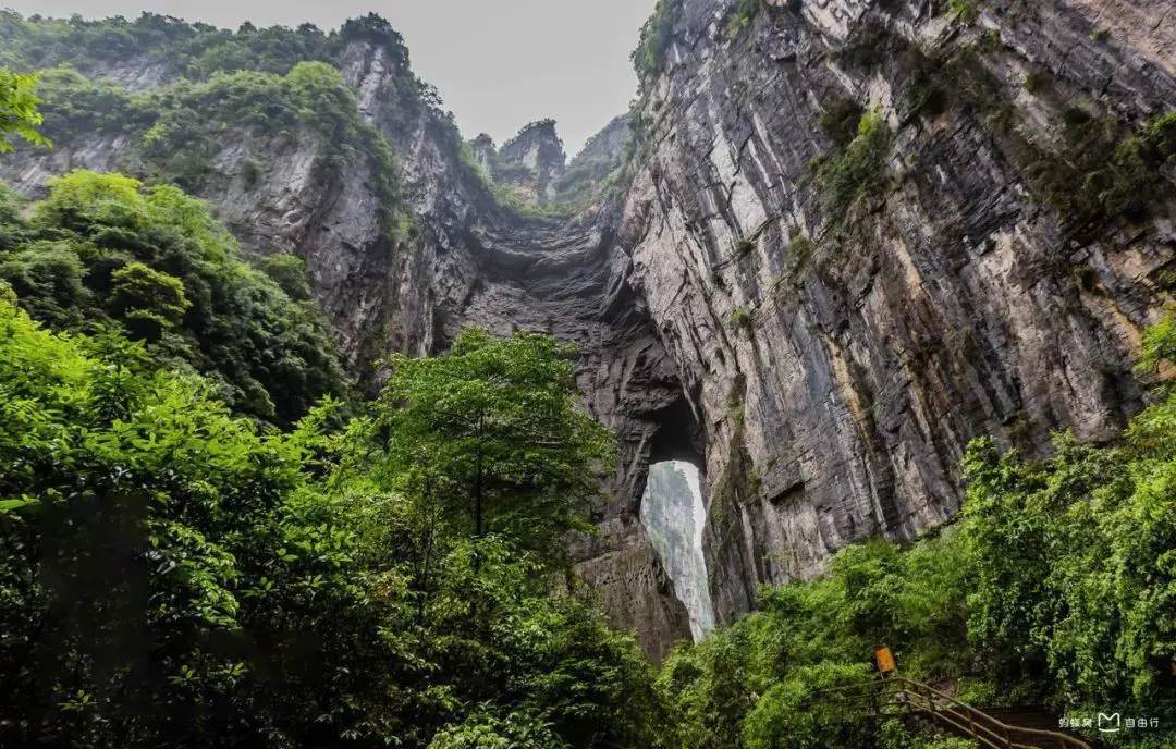 宜昌至重庆游轮_宜昌游轮到重庆多少钱_宜昌到重庆游轮旅游单程票价