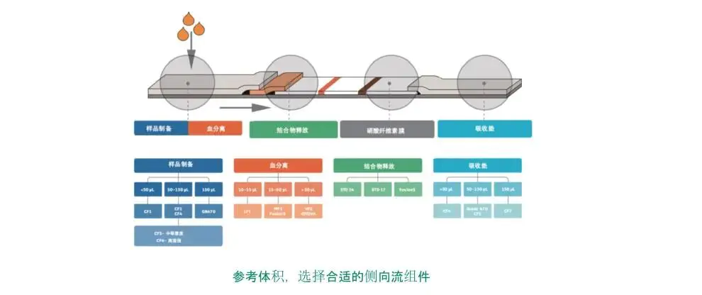 定量滤纸和定性的区别_定性滤纸和定量滤纸区别_定性滤纸和定量滤纸哪个好