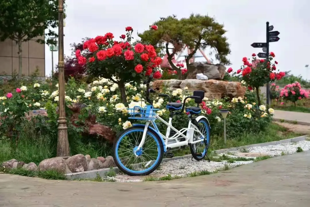 青岛景点地图分布图高清_青岛旅游地图景点分布图_青岛景点地图路线图简图