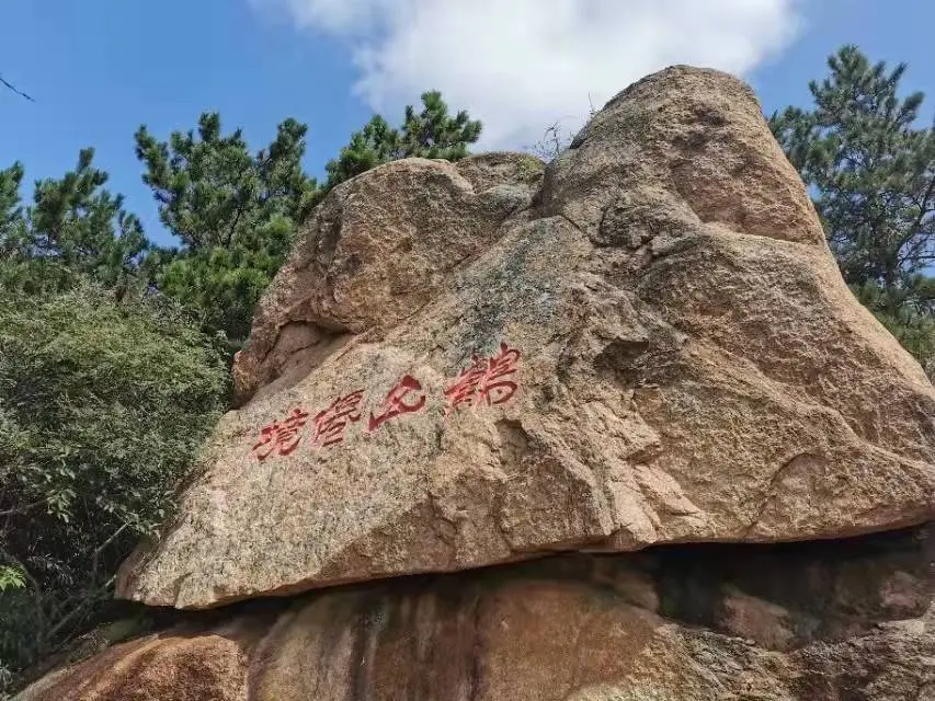 青岛景点地图路线图简图_青岛旅游地图景点分布图_青岛景点地图分布图高清