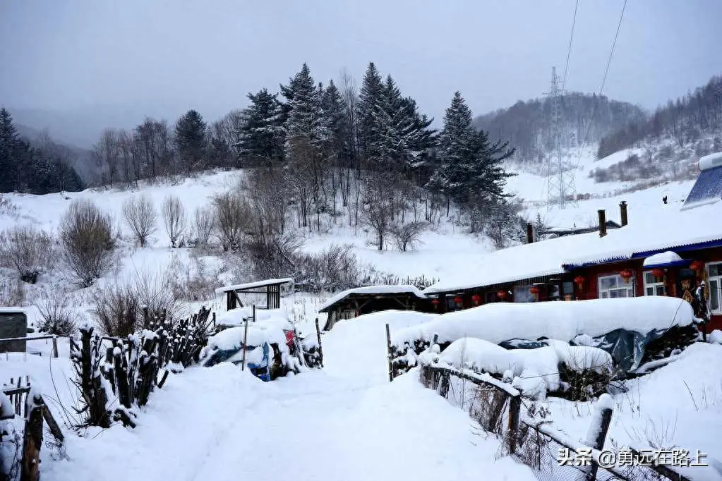 哈尔滨旅游攻略必去景点_哈尔滨景点攻略旅游去哪里_哈尔滨景点攻略旅游去哪里好