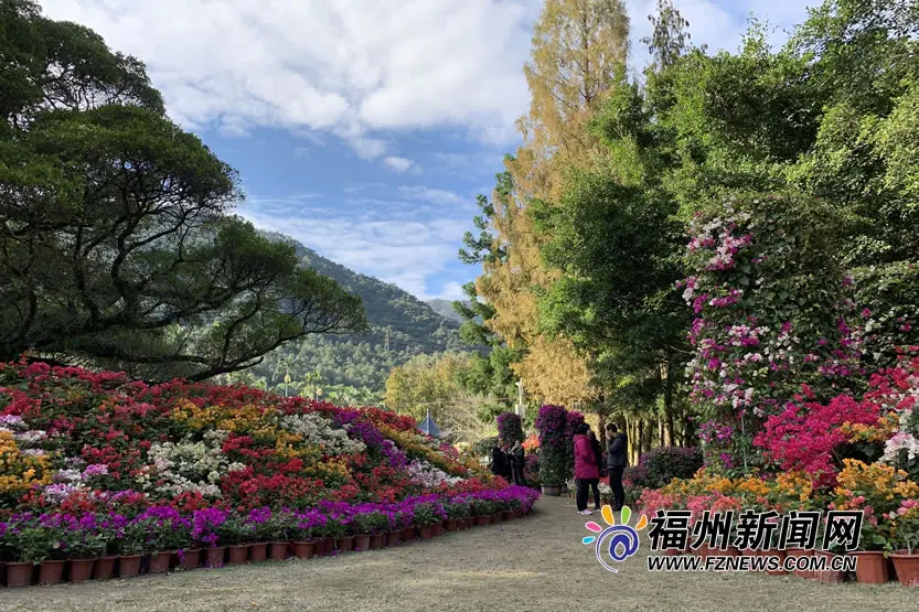 福州国家森林公园需要门票吗_福州国家森林公园_福州国家森林公园联系电话