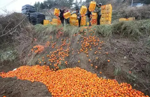 拼多多上地址_拼多多地址栏在哪里_拼多多地址