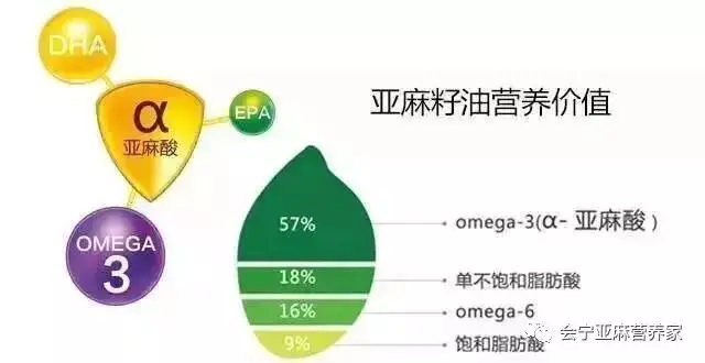 胡麻籽油的功效与作用_胡麻籽_亚麻籽和胡麻籽的区别