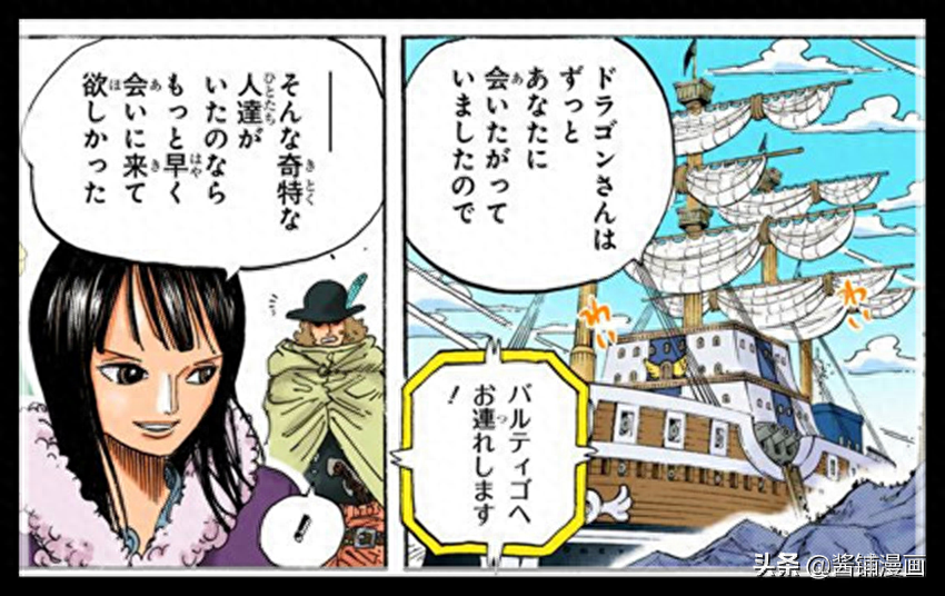 海贼王娜美cp头像_海贼王娜美绘画教程_海贼王娜美同人漫画