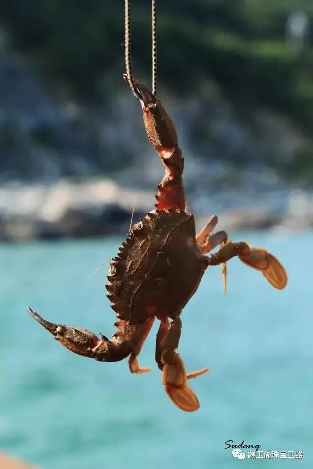 江浙沪旅游_江浙沪旅游度假区_江浙沪旅游风景区