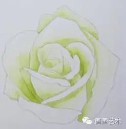 美甲玫瑰花图片画法_玫瑰网格构成画法_玫瑰花画法