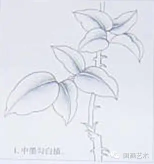 美甲玫瑰花图片画法_玫瑰网格构成画法_玫瑰花画法