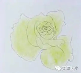 美甲玫瑰花图片画法_玫瑰网格构成画法_玫瑰花画法