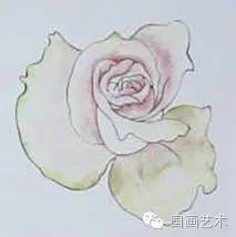 玫瑰花画法_美甲玫瑰花图片画法_玫瑰网格构成画法