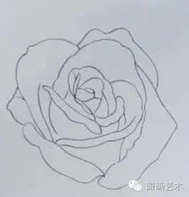 玫瑰花画法_玫瑰网格构成画法_美甲玫瑰花图片画法