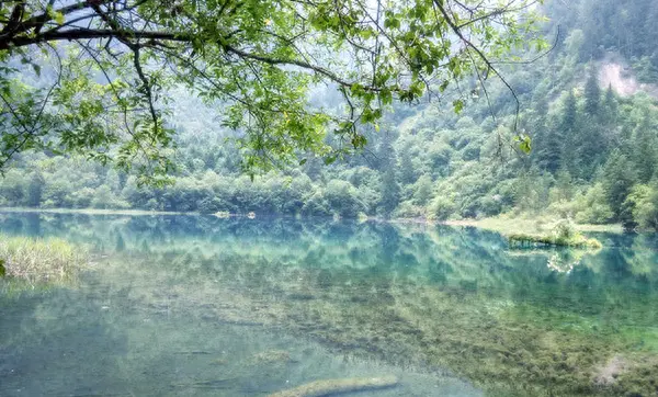 去九寨沟跟团好还是自己去好_参团游九寨沟_跟团去九寨沟旅游